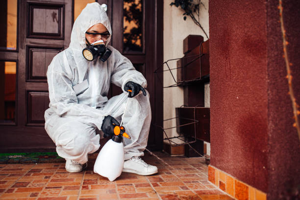 Reliable Cockroach Control contractor in Crosby, TX by Nex Pest Control